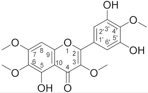 graphic file with name biomolecules-11-01534-i001.jpg