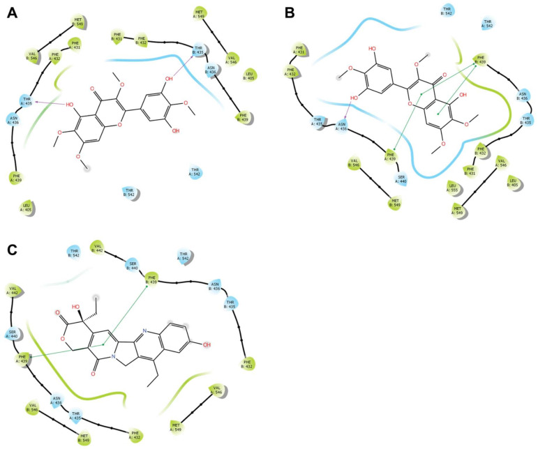 Figure 10