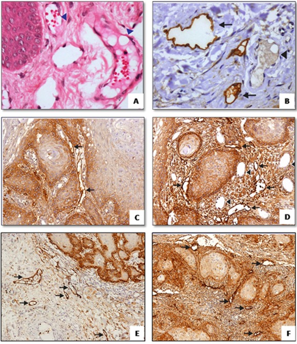 Figure1