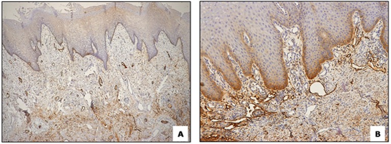 Figure5