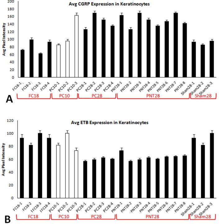 Supplementary Fig. S5