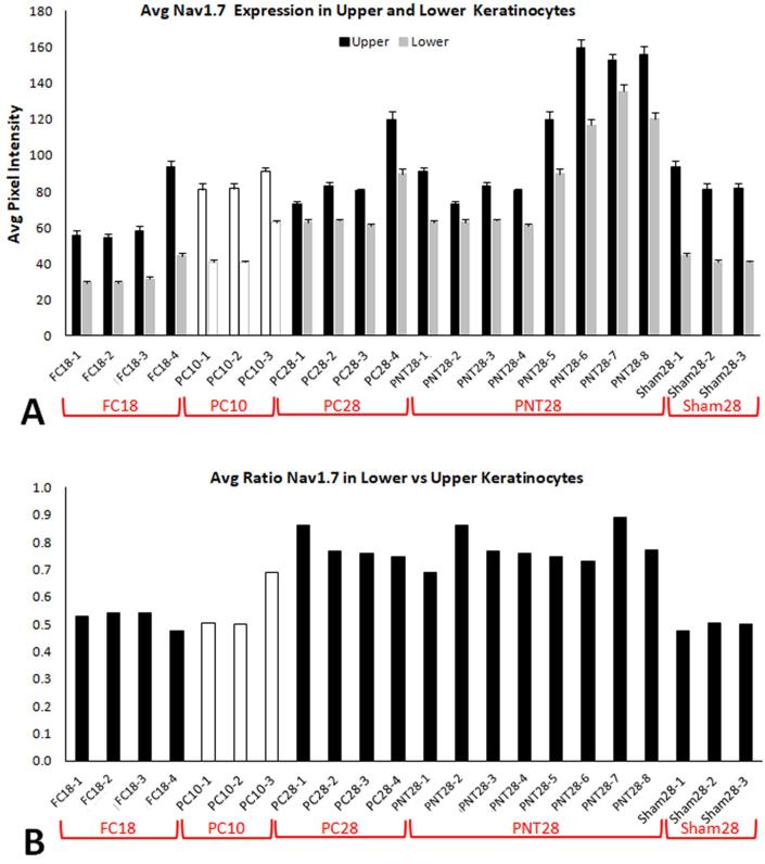 Supplementary Fig. S3