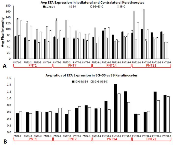 Supplementary Fig. S8