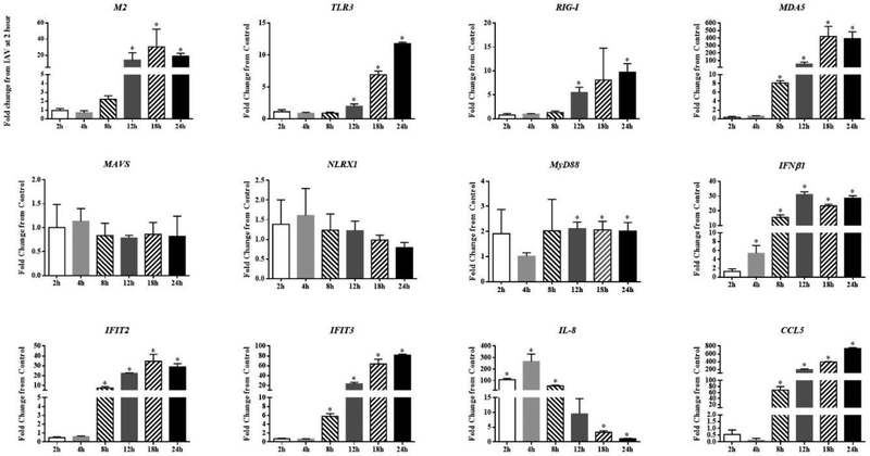 Figure 2.