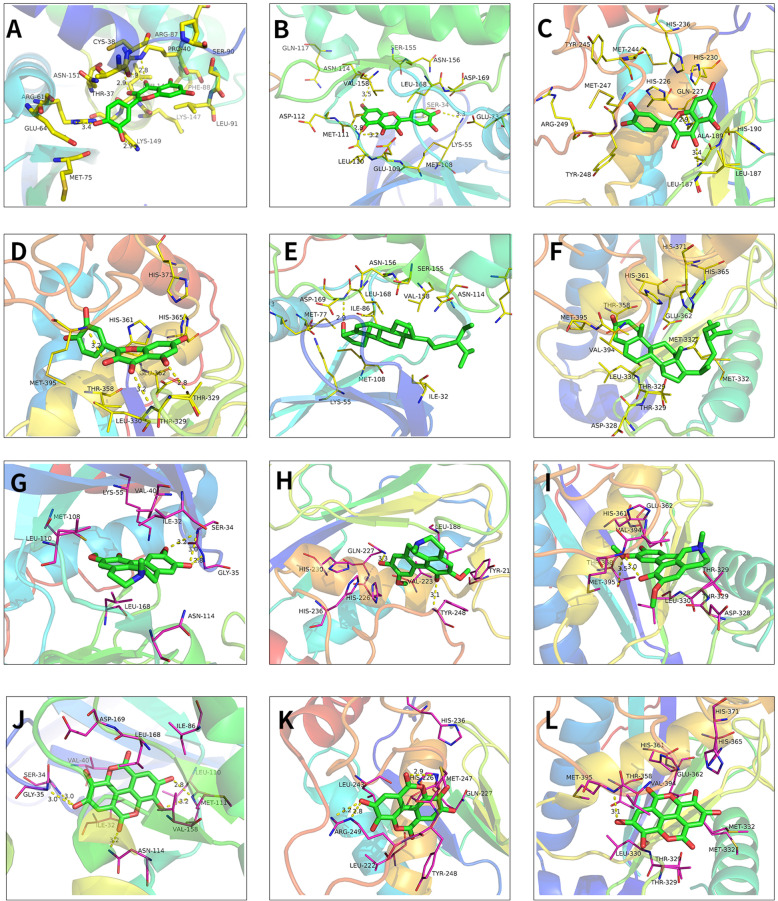 Fig. 7