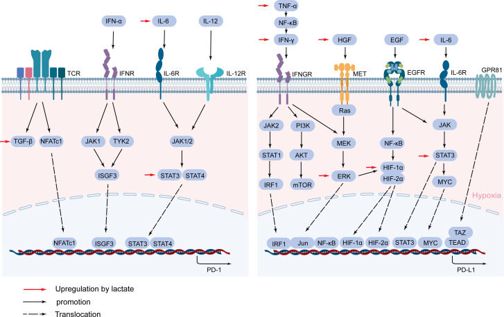 Figure 5