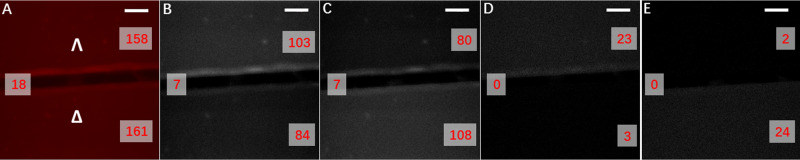 Fig. 4