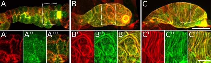 FIGURE 2: