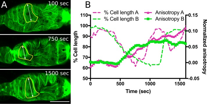 FIGURE 5: