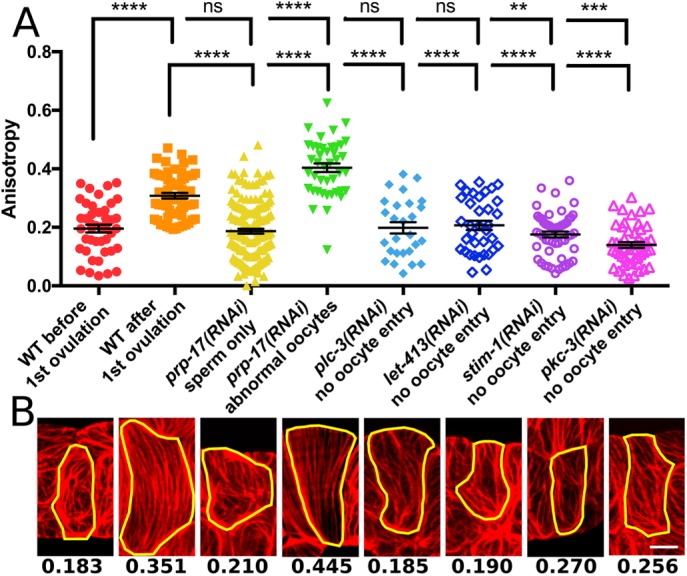 FIGURE 3: