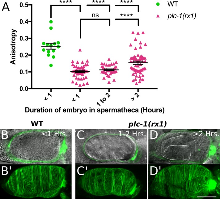 FIGURE 6: