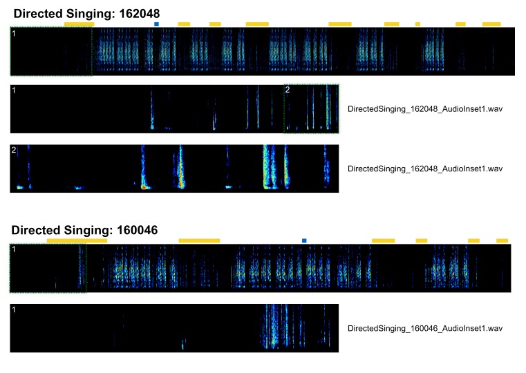 Figure 2—figure supplement 8.