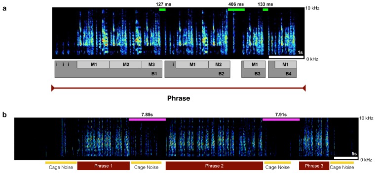 Figure 2—figure supplement 1.