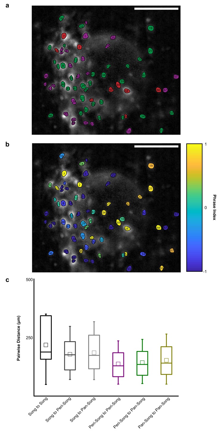 Figure 2—figure supplement 4.