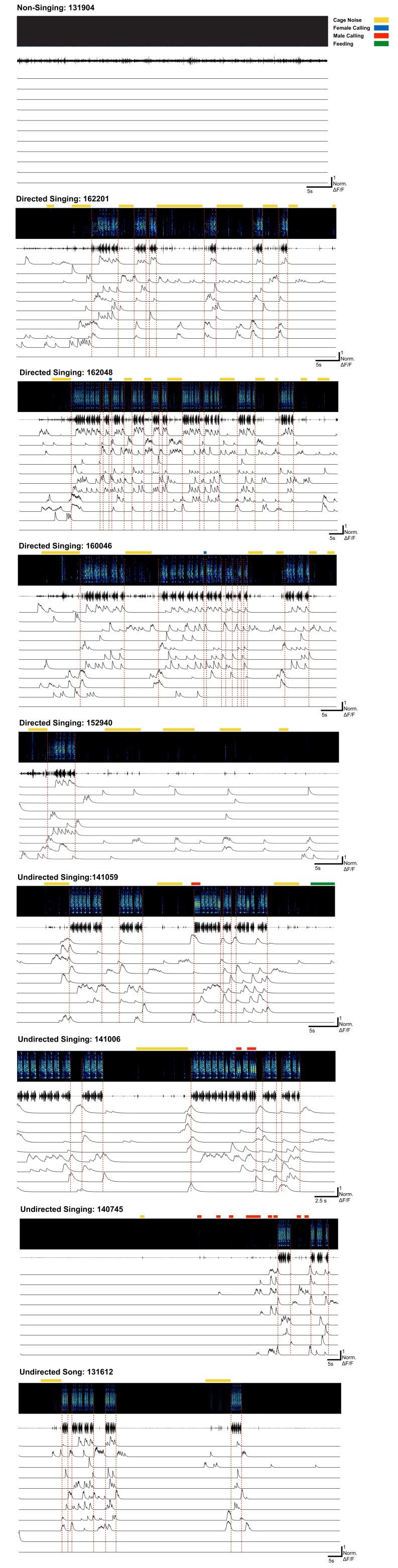 Figure 2—figure supplement 6.