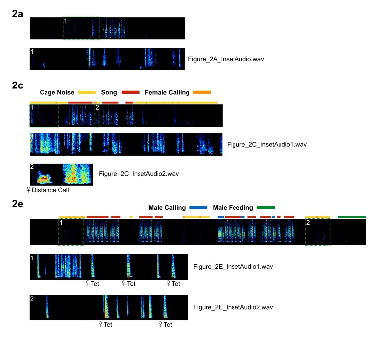 Figure 2—figure supplement 7.