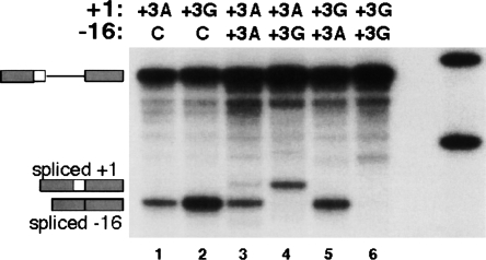 Figure 6.