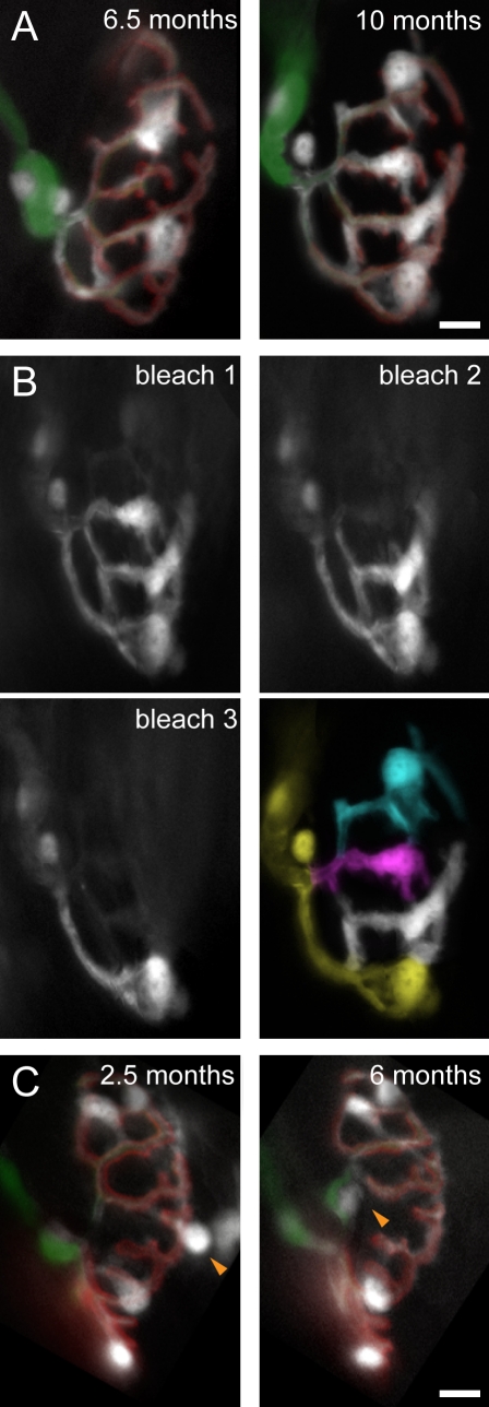 Figure 3.