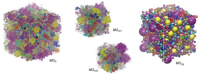 Figure 1—figure supplement 3.