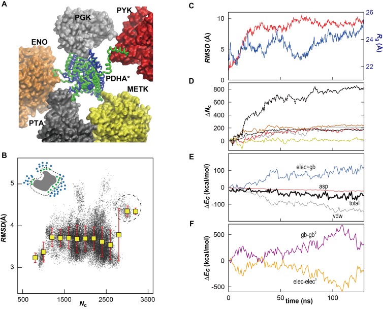 Figure 2—figure supplement 2.