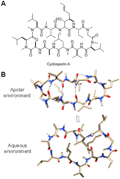 Figure 6.