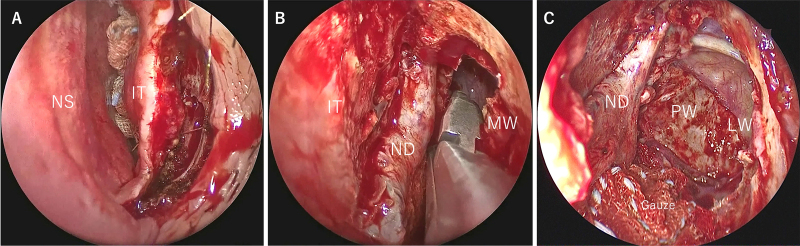 FIG. 2.