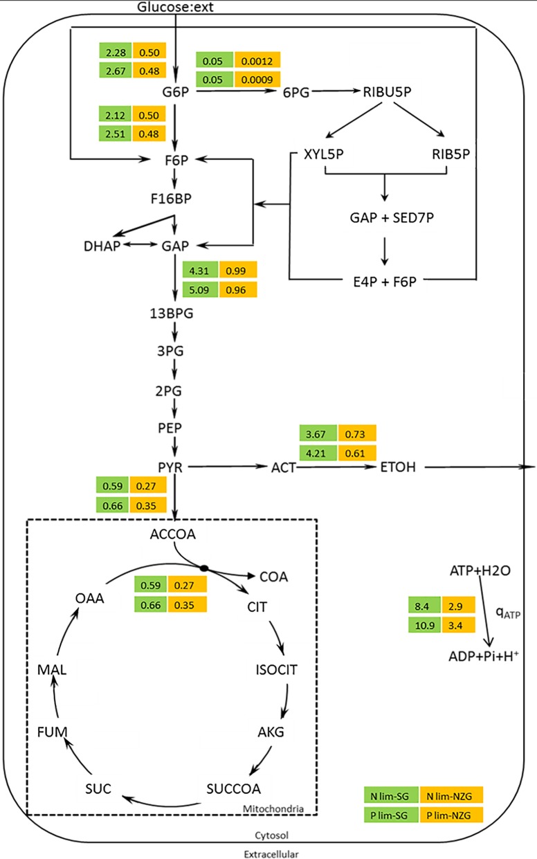 FIG 3