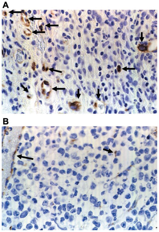 Fig. 8