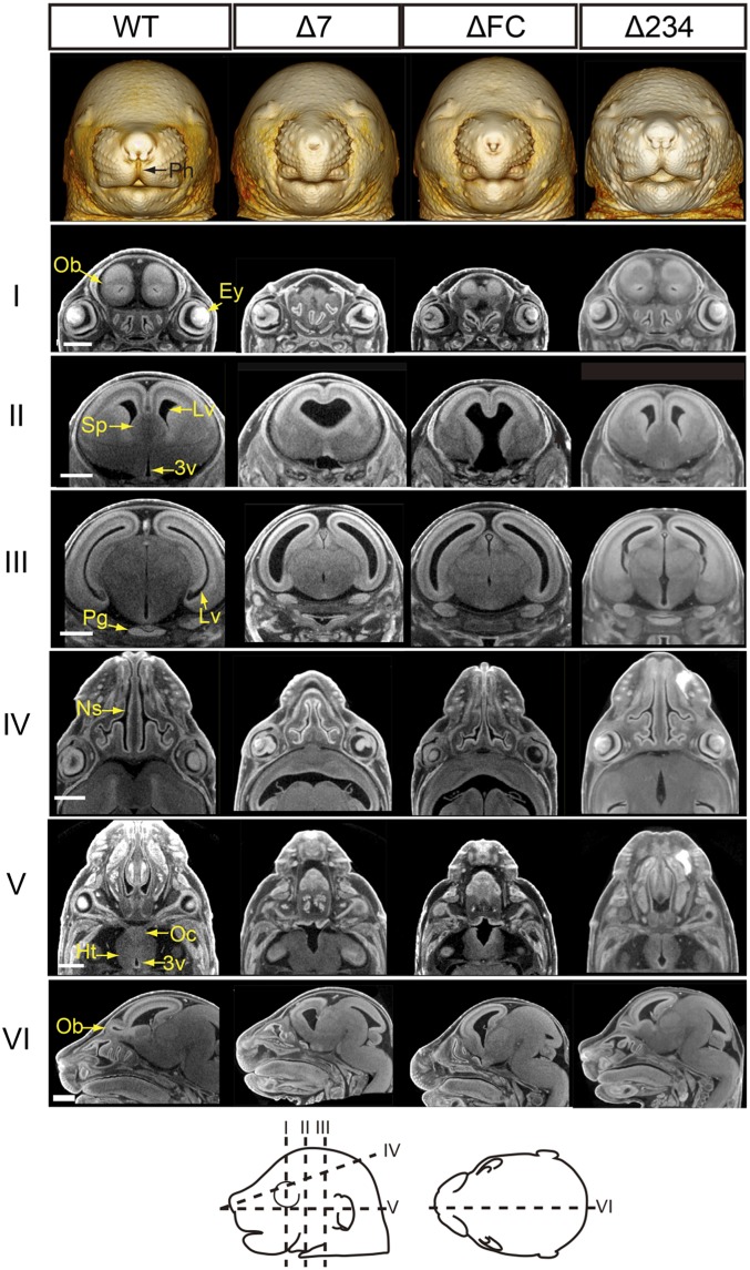 Fig. 4.