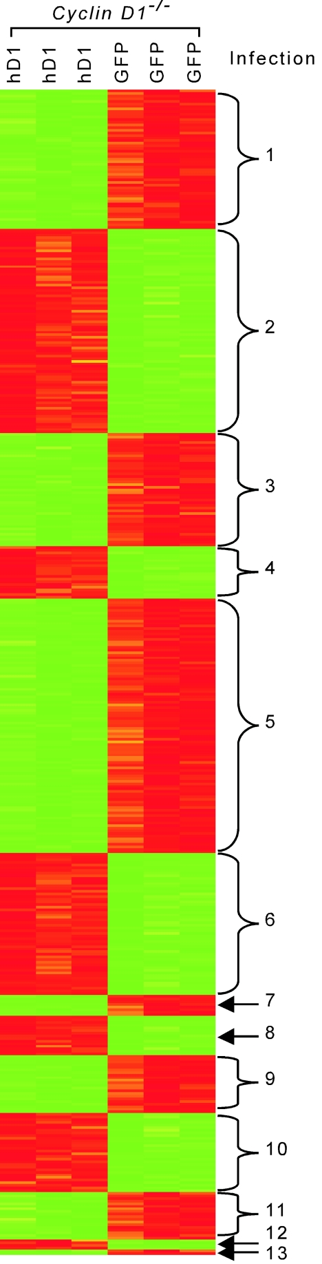 FIG. 6.