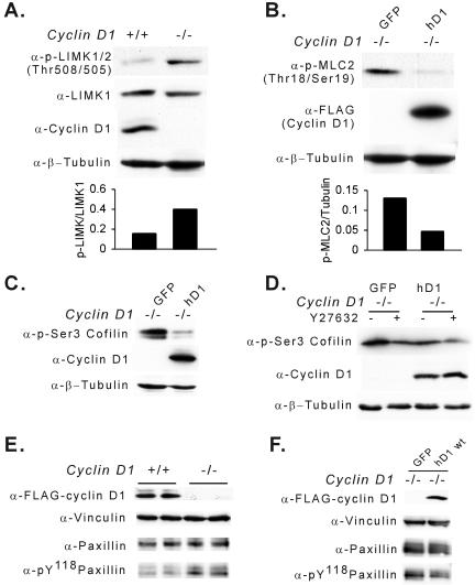 FIG. 8.