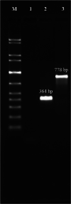 FIGURE 2