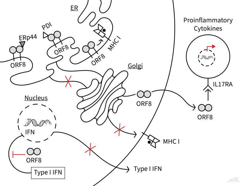 Figure 2