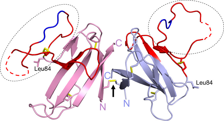 Figure 3