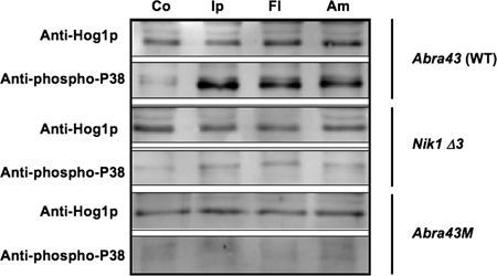 FIG. 7.