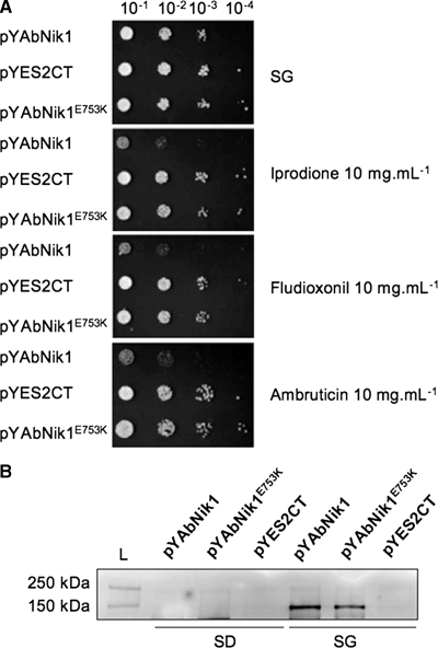 FIG. 6.