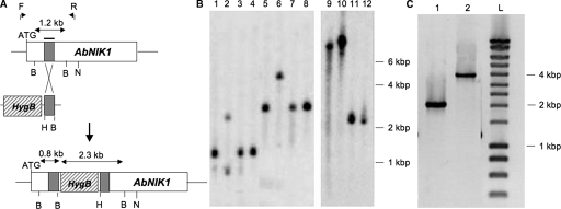 FIG. 4.