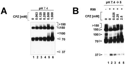 FIG. 5.