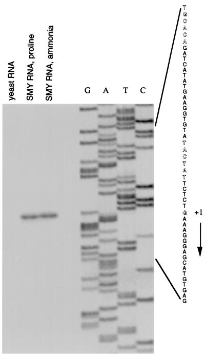 FIG. 5