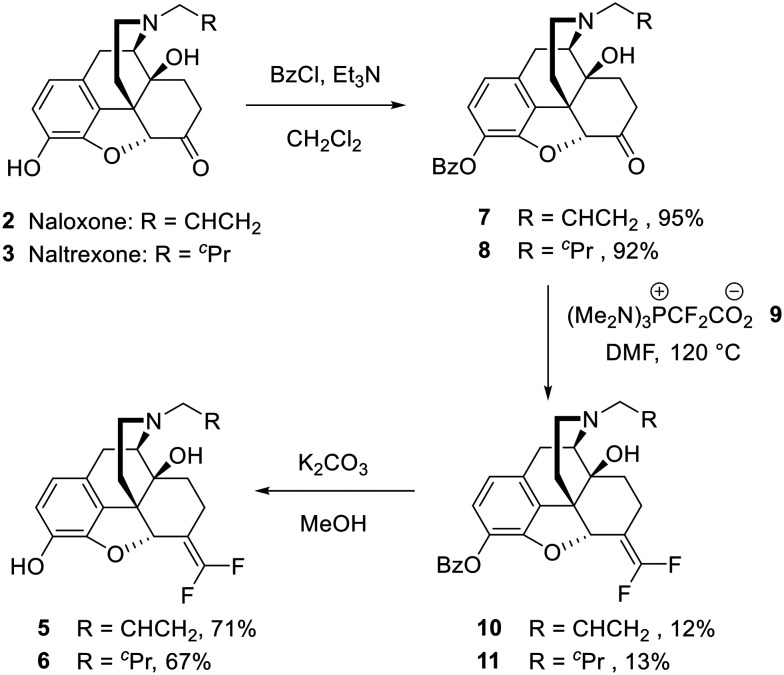 Scheme 1