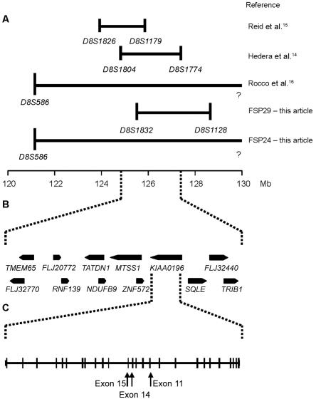 Figure  2. 