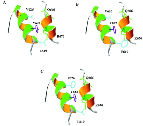 Figure  4. 