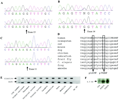 Figure  3. 