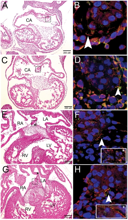 Figure 4.