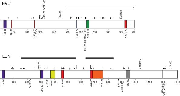 Figure 1.