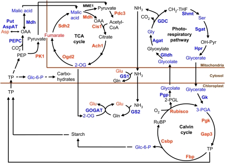 Figure 5.