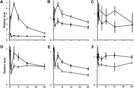 Figure 3.