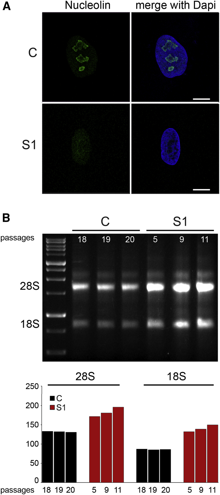 Figure 6