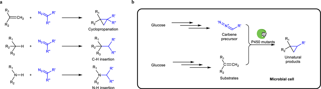 Fig. 1 |