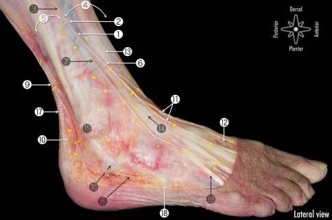 Fig. 2